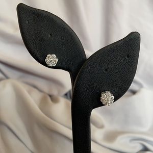 Moissanite Platineve Earrings